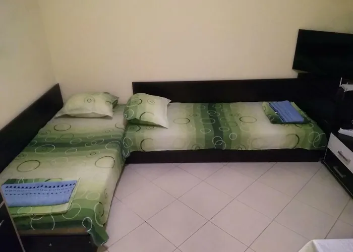 Nedyalkov * וארנה